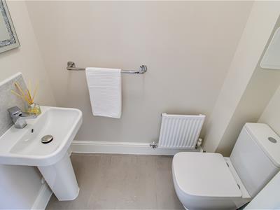 Picture 11